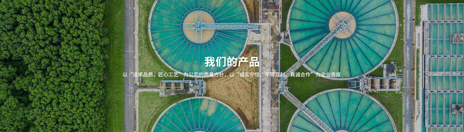 90°快裝式衛(wèi)生級彎頭